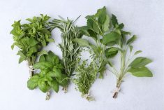 Farm &amp; Family – April 3 edition