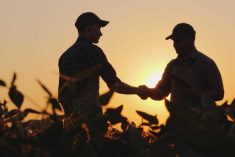 Two farm men standing in a corn field silhouetted against a setting sun.