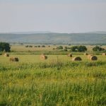 Farmers don’t need to fear conservation agreements