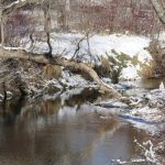 Spring is trying to arrive, but we just can&rsquo;t seem to completely shake winter&rsquo;s grip. Photo: Geralyn Wichers
