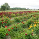 Farm & Family - April 10 edition