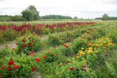 Farm &amp; Family – April 10 edition