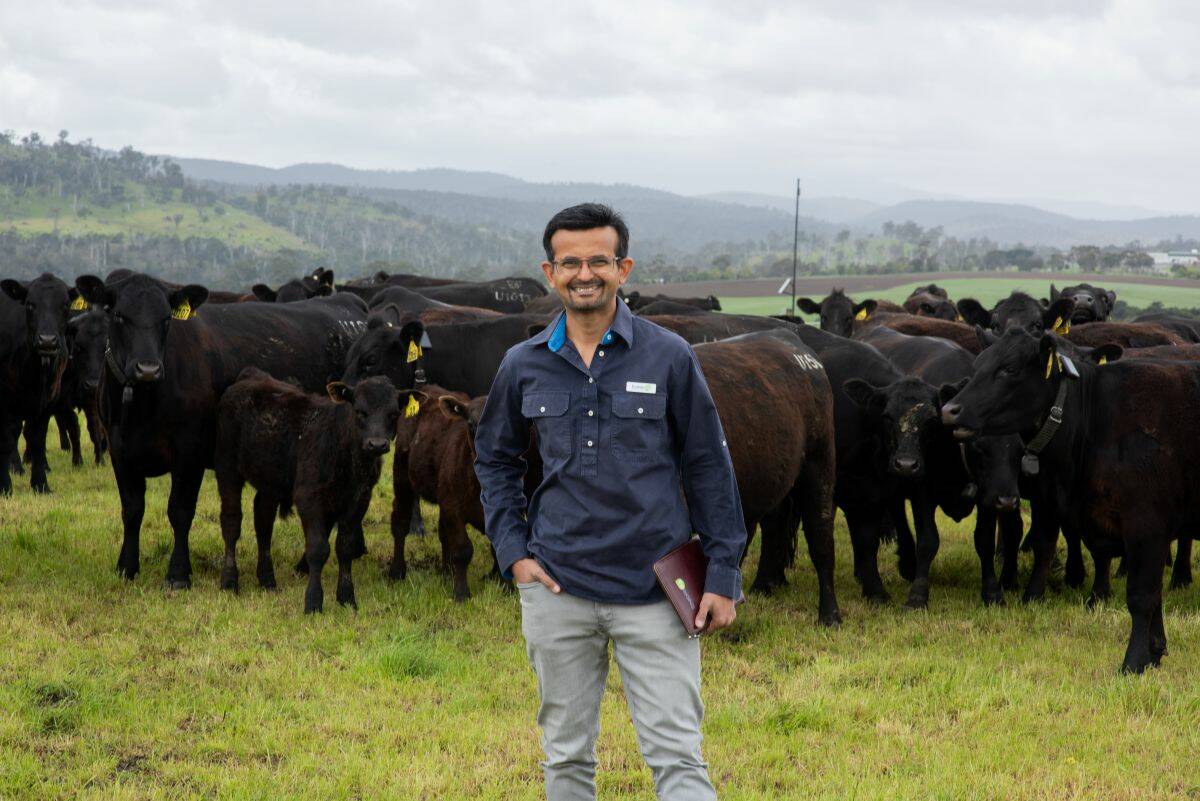 Time management consultant Ram Savana standing in a field in front of a herd of beef cows.