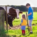 Farm & Family - April 17 edition