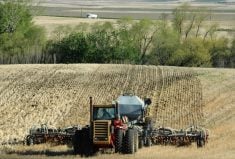Many Australian farmers are considering sharp cuts to sowing programs because of high costs and uncertainty about fuel and fertilizer supply. Photo: Getty Images Plus
